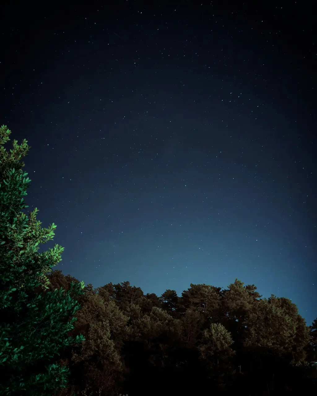 Night background